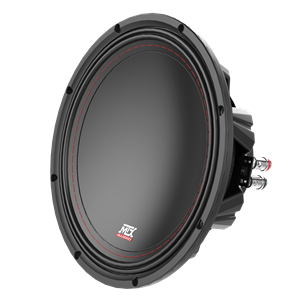 Picture of 10" 250-Watt RMS 2Ω Car Audio Subwoofer